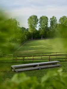 Aged oak community table on green meadow in nature. Foeppl Collection by Relvaokellermann for Holzrausch Editions.